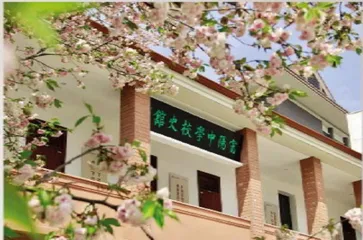 无用是大用2