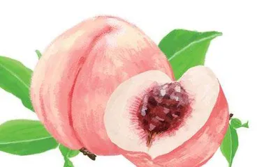 甜蜜的水蜜桃