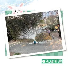 快乐投食 