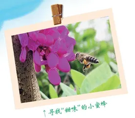 春天来了 