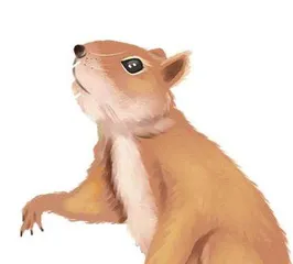 松鼠大哥变啦
