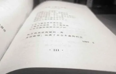 把书翻到第111页