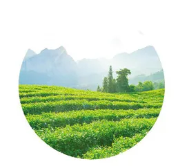 像夏日的夕阳缓缓落下