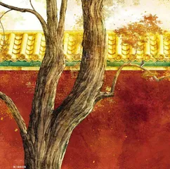 书写不可修葺的过往，看见刹那流逝的时间