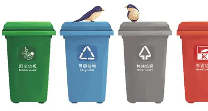 红花马蹄莲