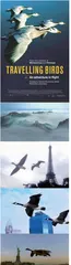 漫长的旅程
