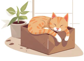 我是猫