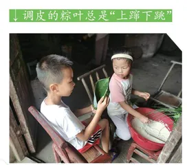 端午粽情