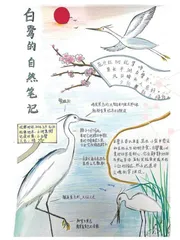 我的 “观鸟”自然 笔记