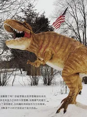 新鲜汇