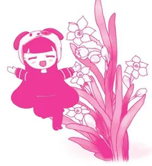 法国吊兰