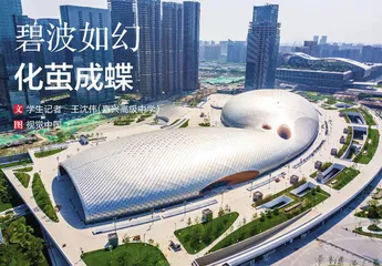 碧波如幻 化茧成蝶