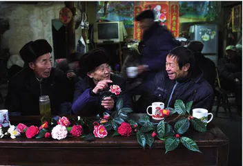 一株山茶花： 下张家村里的金花银花