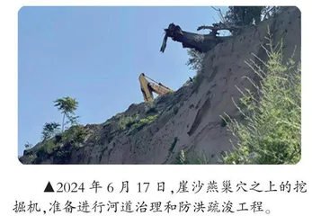 小燕子脱险记