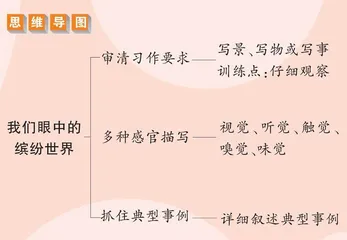我们眼中的缤纷世界