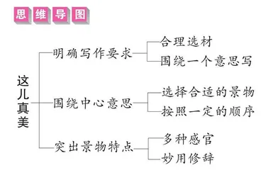 这儿真美1