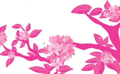 神奇的桂花树
