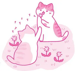 我喜欢猫