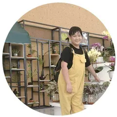 手机囧事