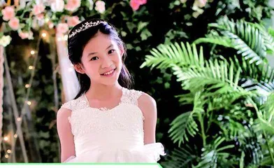 达成使命的松树