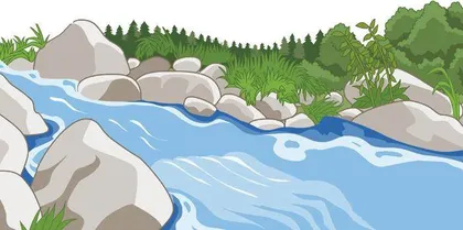 堰塘抓鱼记