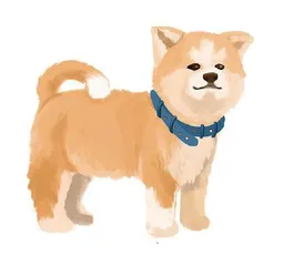 大黄和小黄