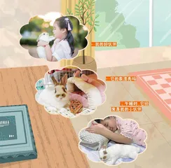  家有萌兔