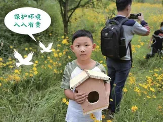 我有一个想法