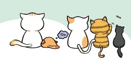野猫的写意