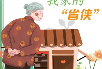 我家的“省侠”