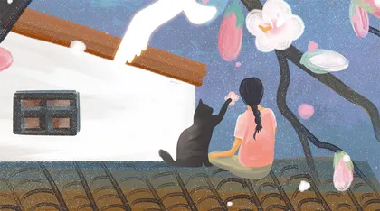 第九话：月光下的桃花雨（上）