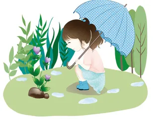 夏雨