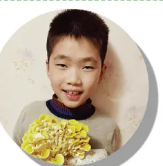 榆黄菇生长日记