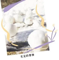 第一场“快乐雪”