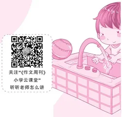 小毛的衣服兜