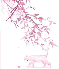 小馋猫