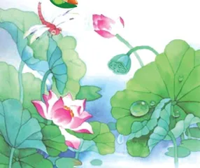 一首夏天的歌谣