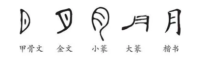 关于“月”的那些事