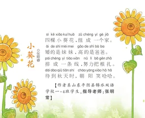 小葵花