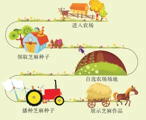 跟夏老师一起“种芝麻”
