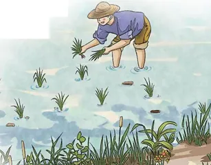 《盘中餐》