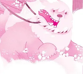 下雪啦