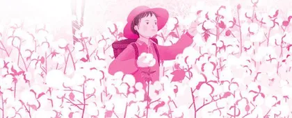 摘棉花