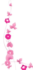 喇叭花