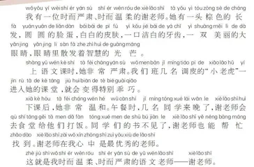 我的语文老师