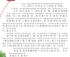 番薯、萝卜大丰收啦