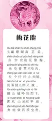 梅花鹿