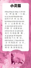 小灵猫