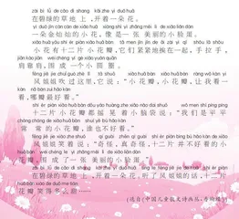 小花瓣