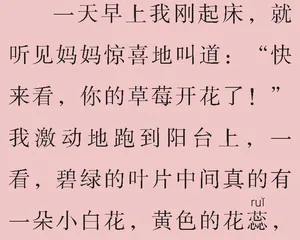 草莓红了